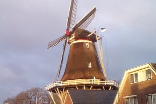 Korenmolen de zwaluw Hoogeveen 